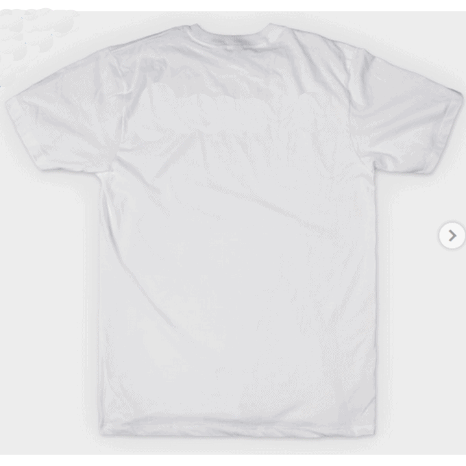I Survived The Seventeen Instagram Drought (2019-2021) T-shirt - Image 2
